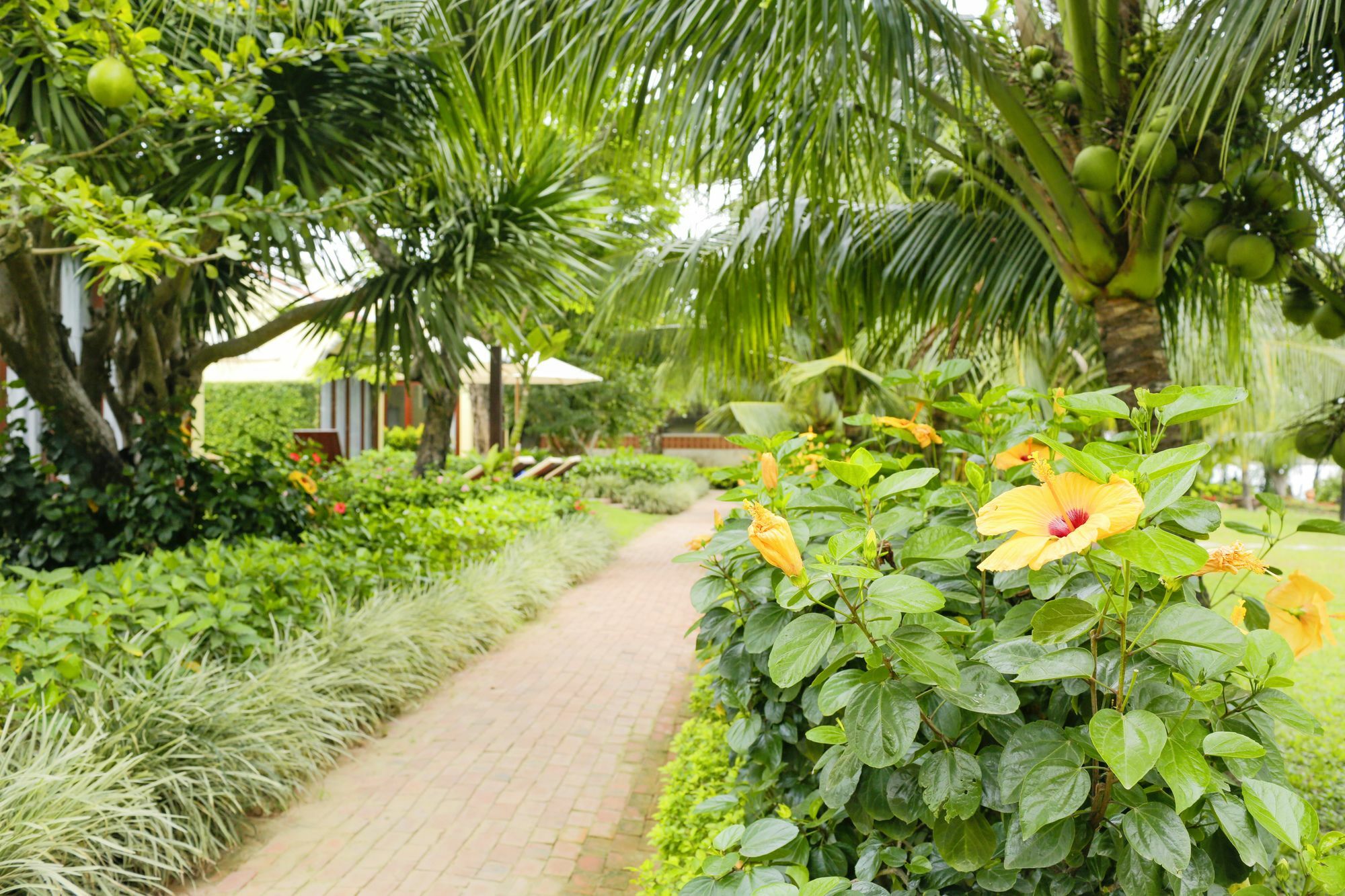 Mulberry Collection Silk Marina Imperial Wing Hoi An Exterior foto